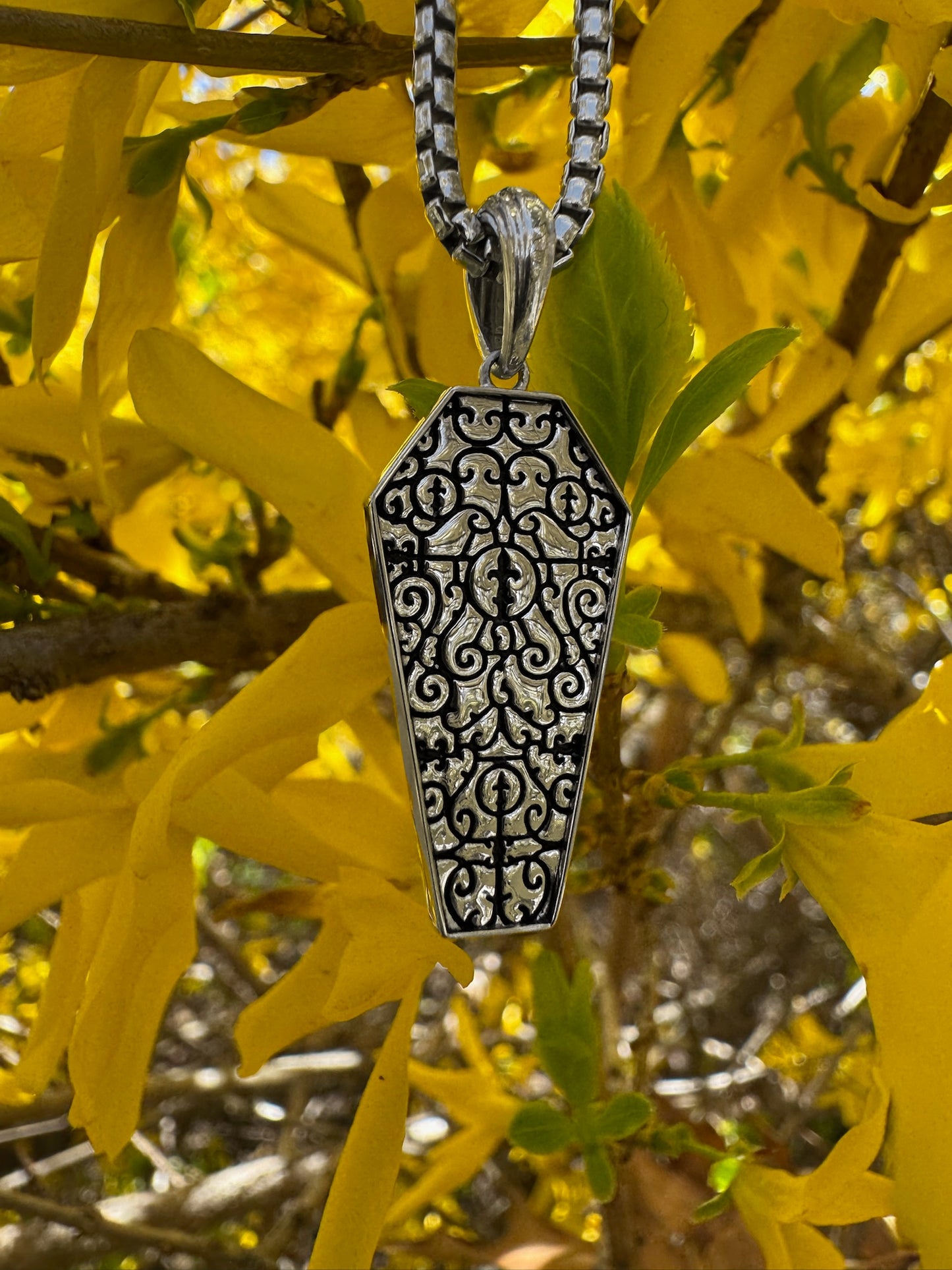 Coffin Pendant, Interview with the Vampire