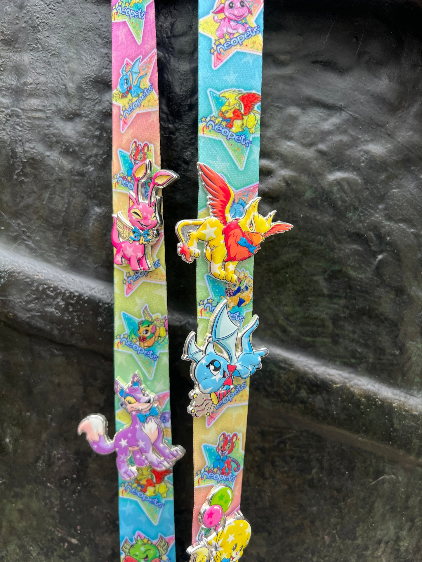 25th Anniversary LE Lanyard, Neopets