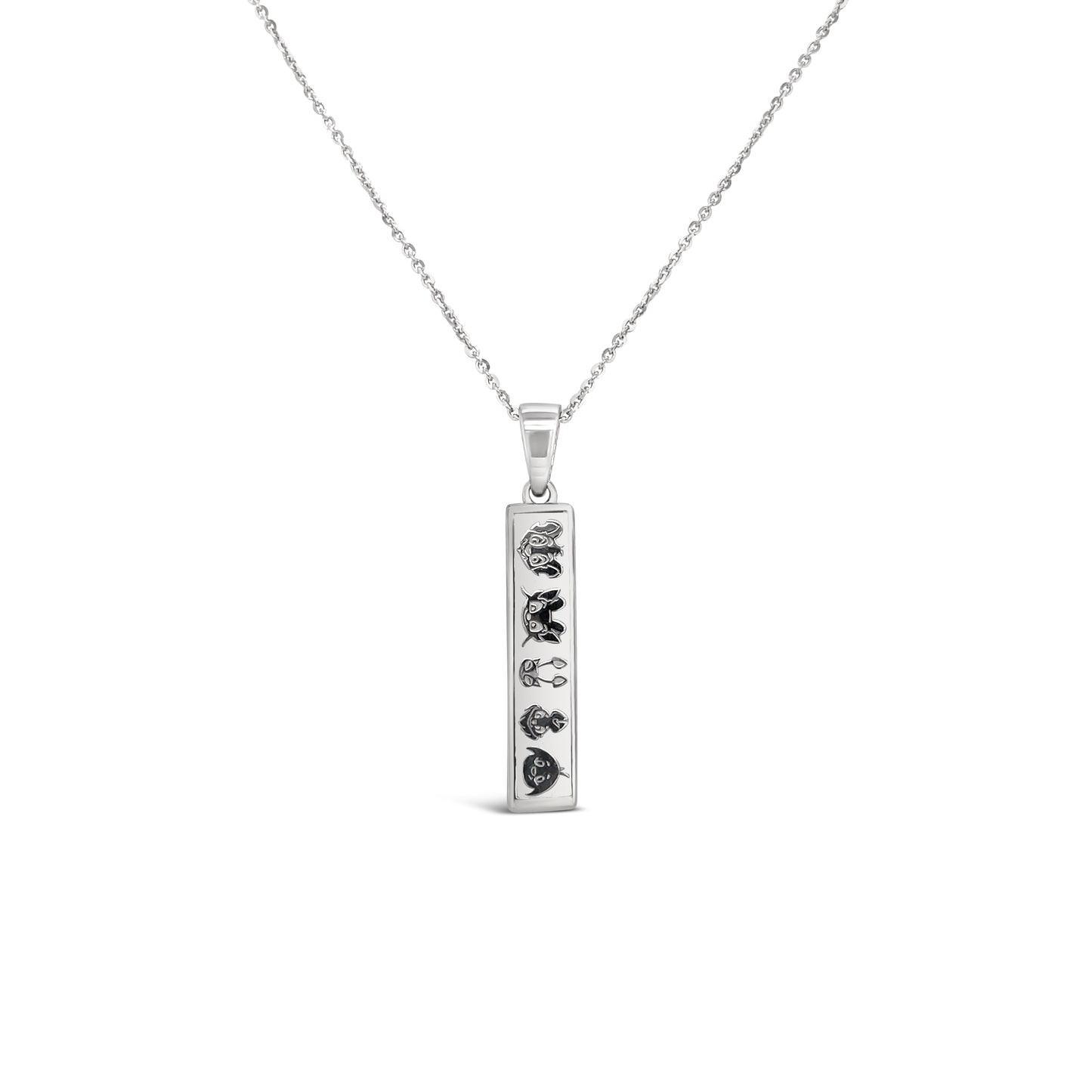 Neopets Bar Necklace, Neopets